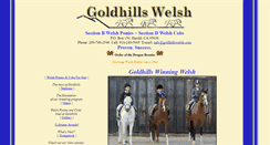 Desktop Screenshot of goldhillswelsh.com